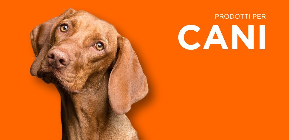 sezione cani gea pet shop