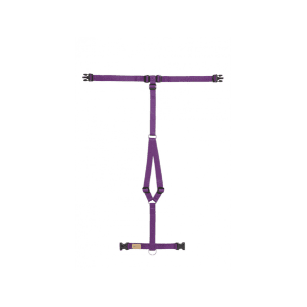 Haqihana Pettorina in Nylon Viola