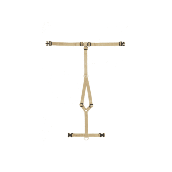 Haqihana Pettorina in Nylon Gold