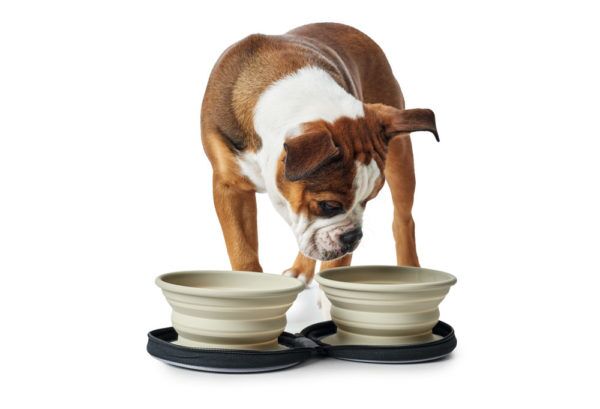 Hunter Ciotole da Viaggio per Cani in Silicone a Borsa Hunter