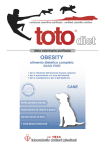 12 Kg - Toto Diet Obesity per Cani - immagine 2