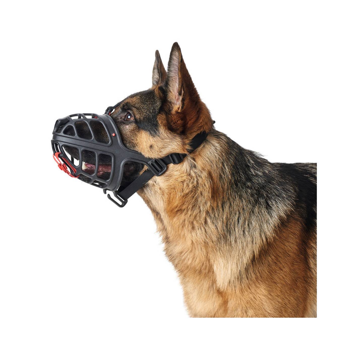 Hunter Museruola Albury per Cani Nera - Vestibilità