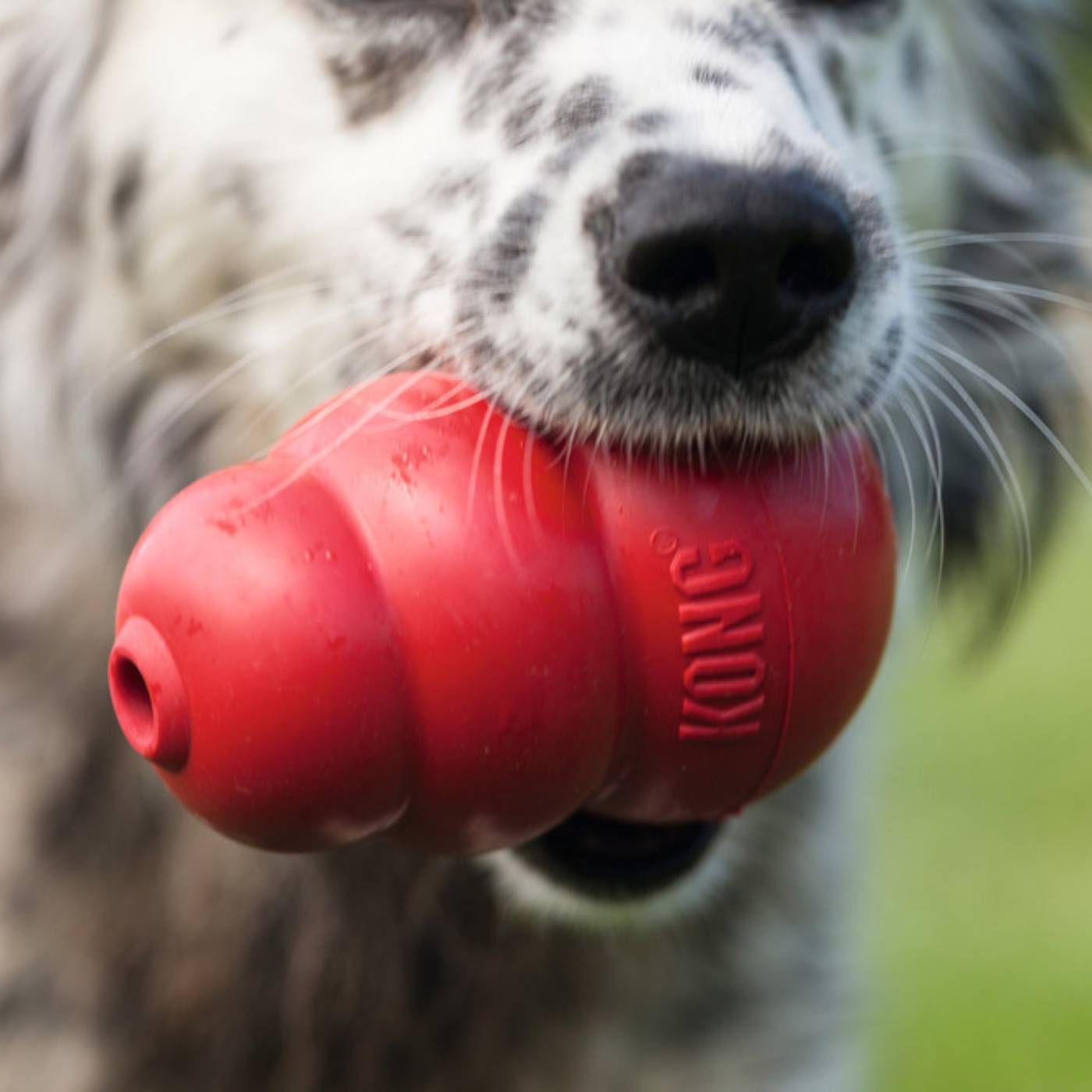 Kong Classic Gioco per Cani - immagine 8