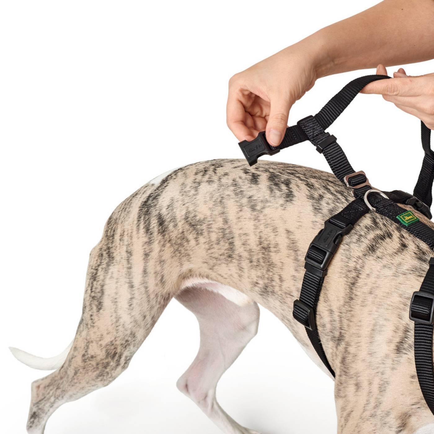 Hunter Pettorina Vario Rapid Antipanico in Nylon per Cani Nero - Fase chiusura 1