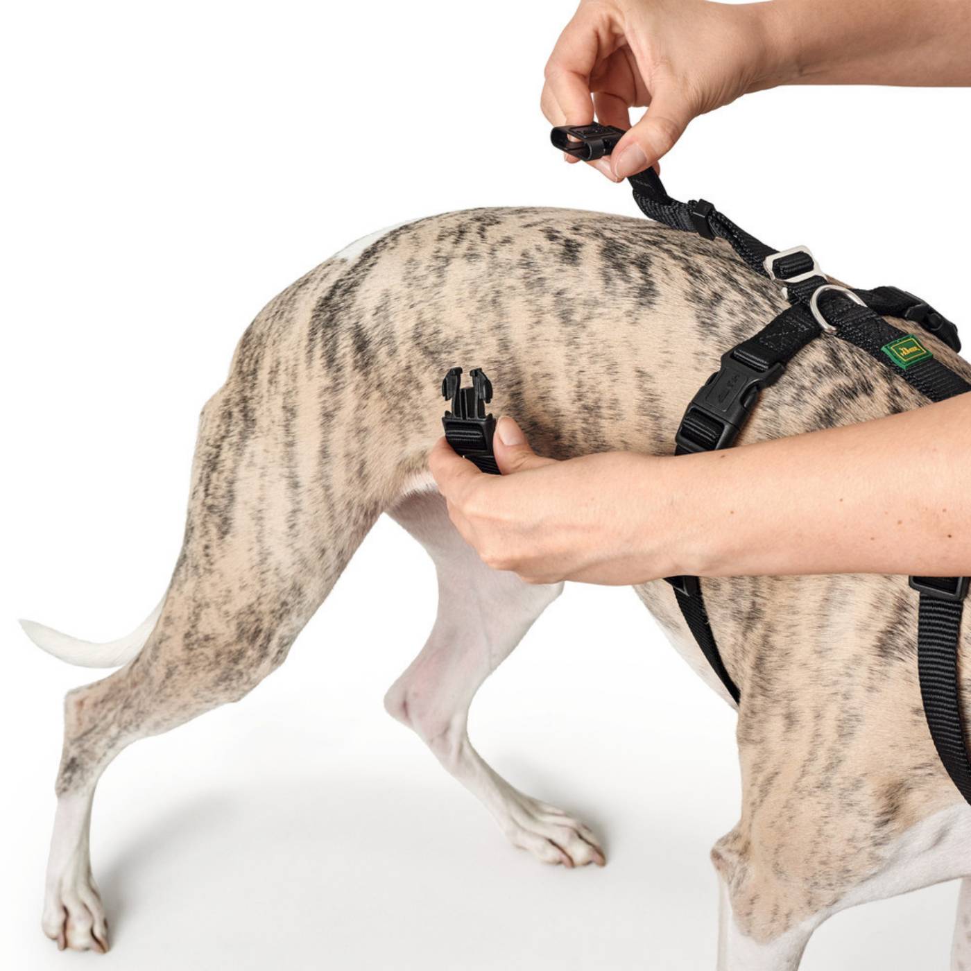 Hunter Pettorina Vario Rapid Antipanico in Nylon per Cani Nero - Fase chiusura 2