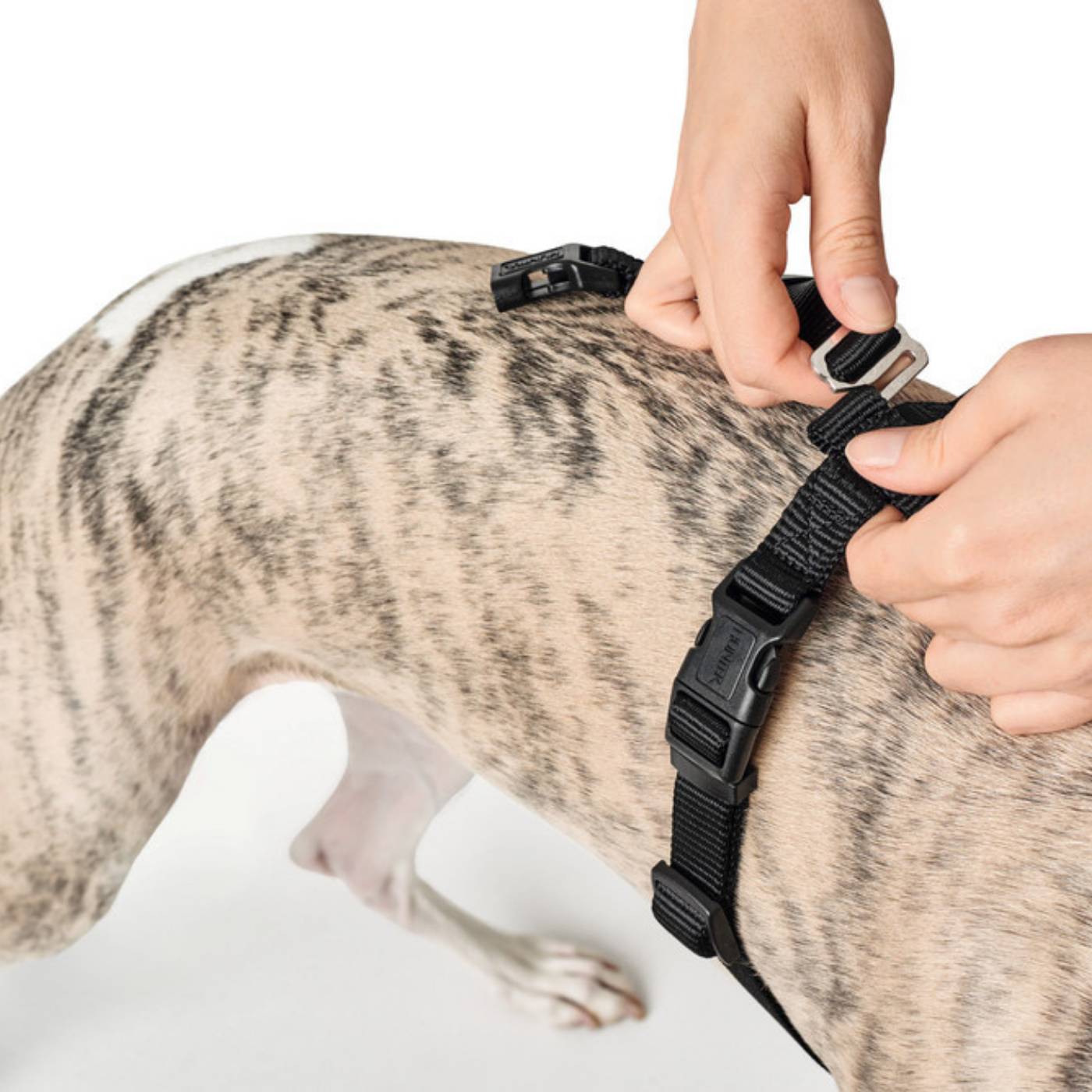Hunter Pettorina Vario Rapid Antipanico in Nylon per Cani Nero - Fase chiusura 4