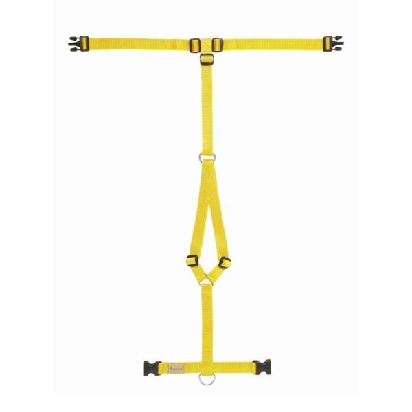 Haqihana Pettorina ad H Yellow in Nylon per Cani