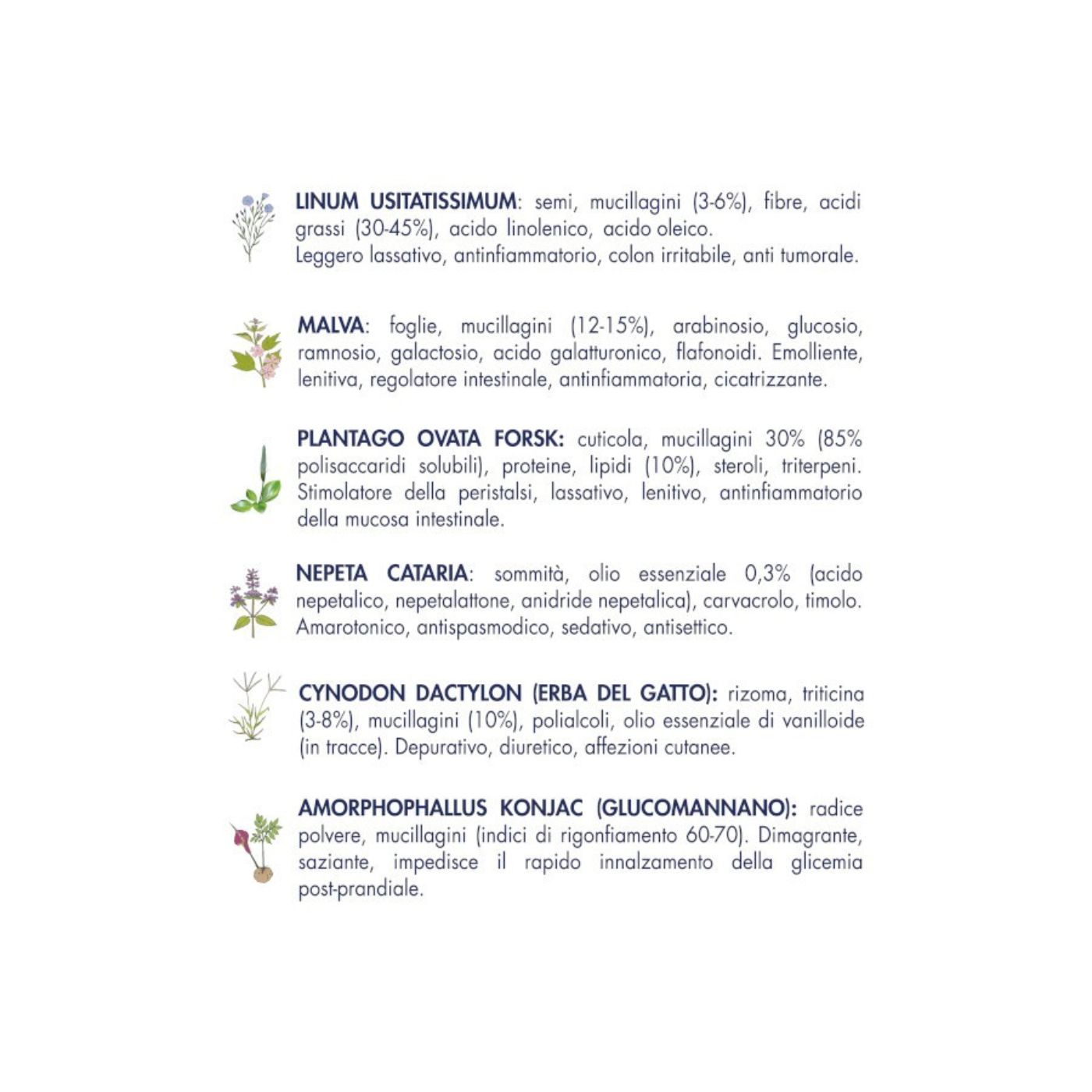 Vet Line Salute Steri Monoproteico Maiale con Prosciutto per Gatti Adulti 1Kg VetLine - Erbe Officinali