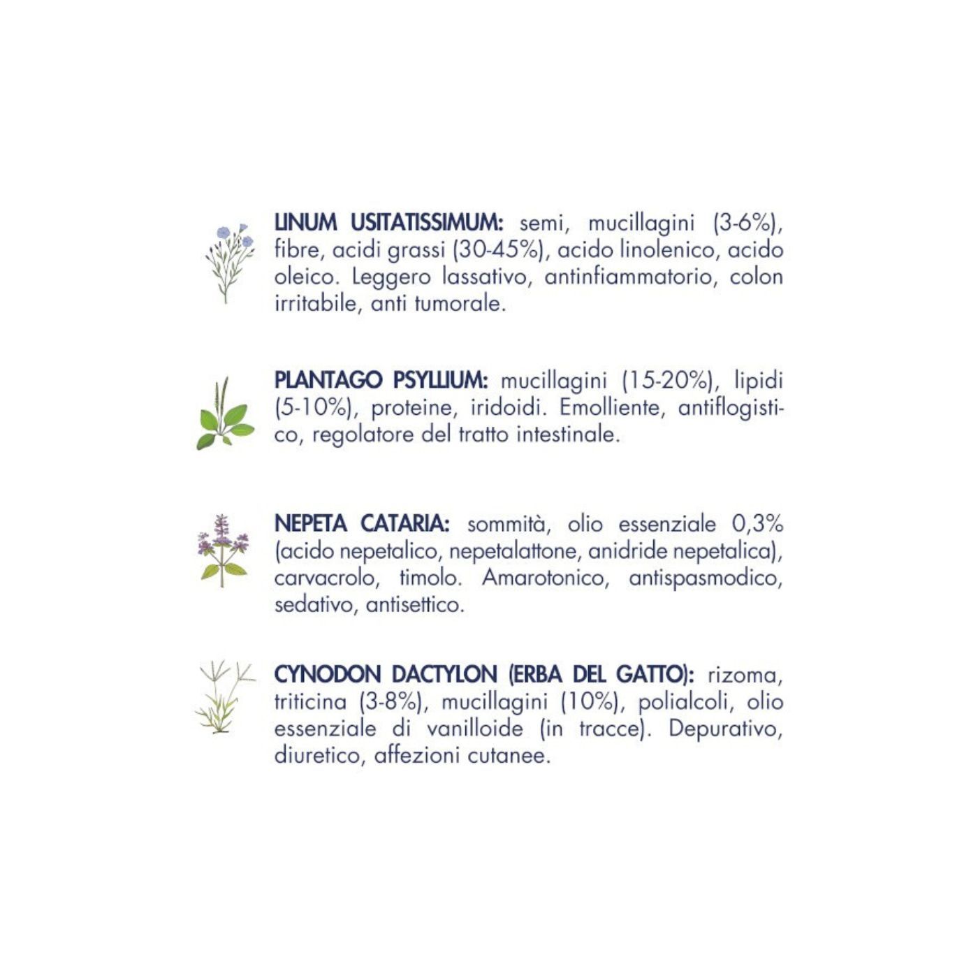 Vet Line Salute Sensi Monoproteico Maiale Grain Free per Gatti Adulti 1Kg VetLine - Caratteristiche erbe officinali