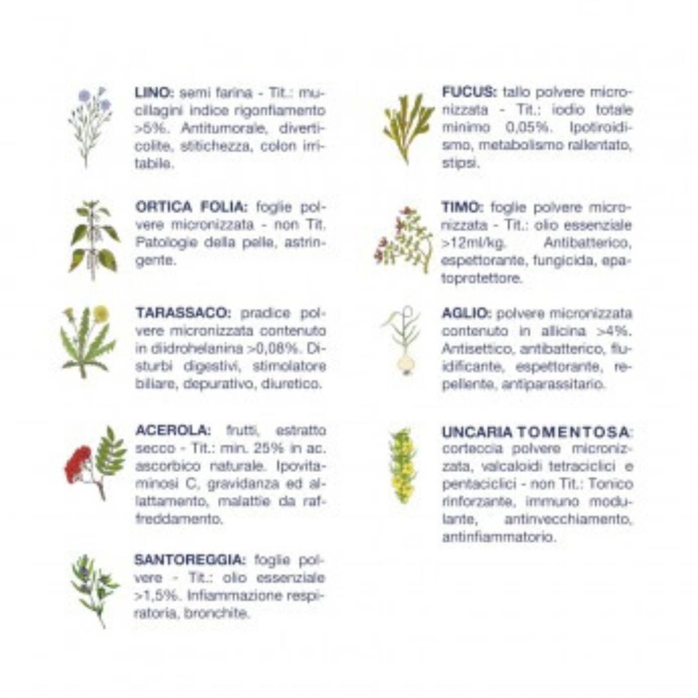 Vet Line Linea Salute Bufalo per Cani Adulti VetLine - Caratteristiche erbe officinali