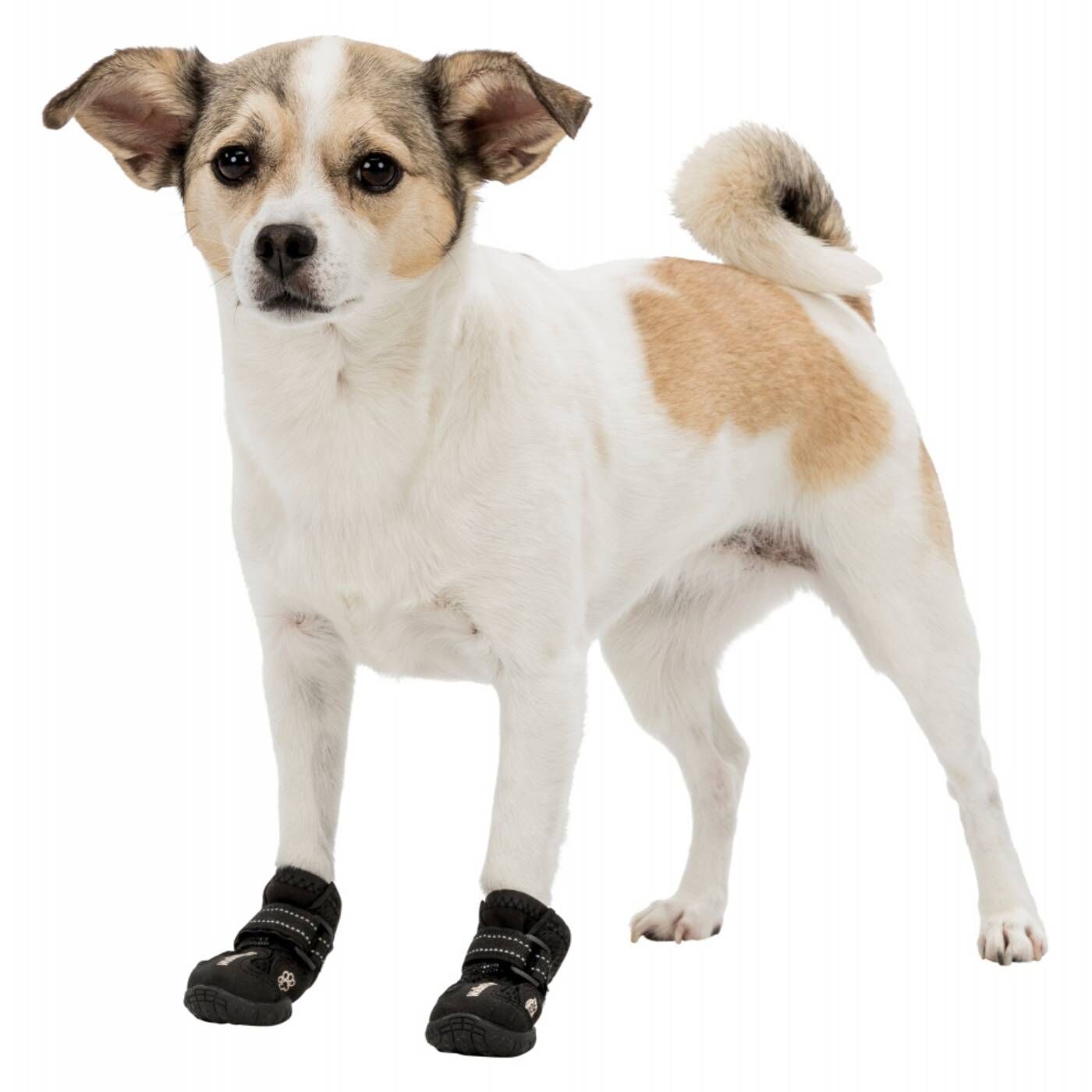 Trixie Walker Active Scarpette Protettive Zampe per Cani - Comode da indossare