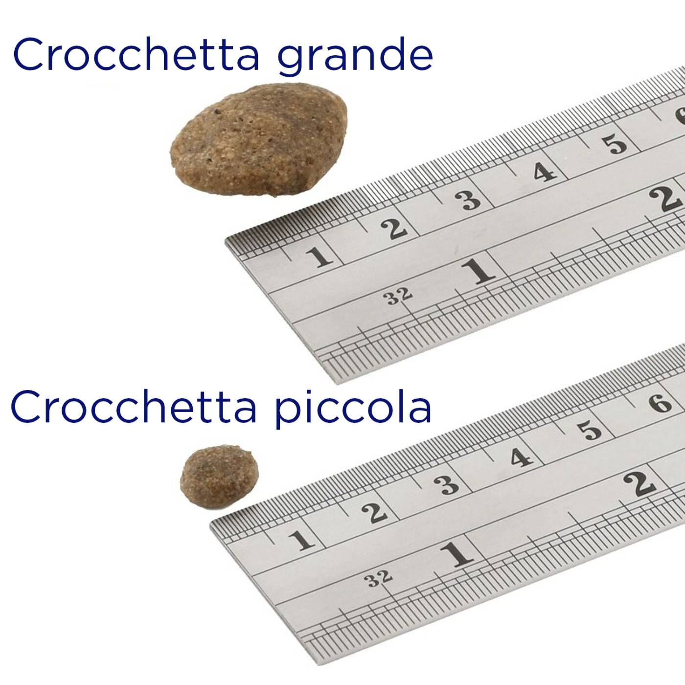 Fish4Dogs Superior Adult Salmone Large 12kg - Misura crocchette