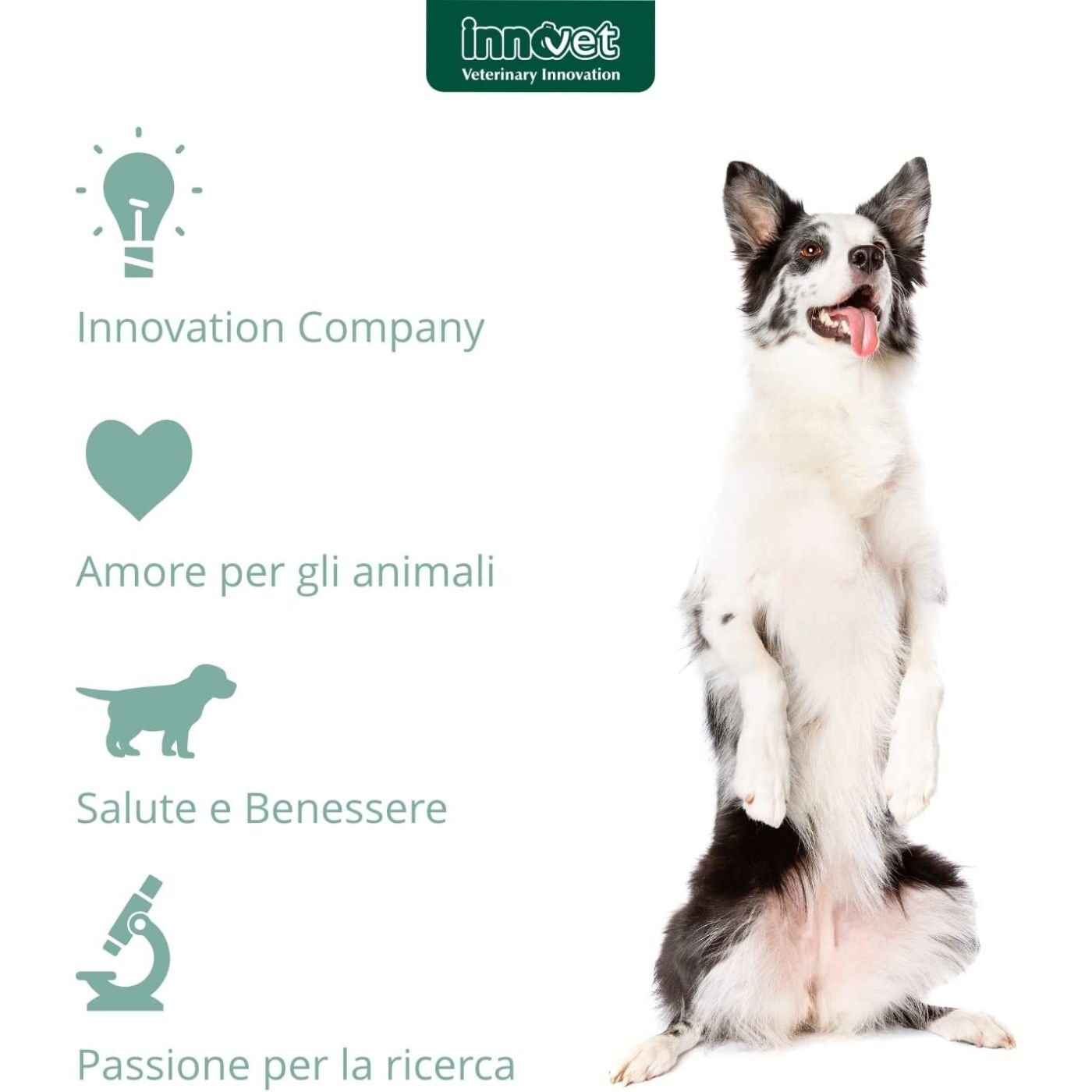 Innovet