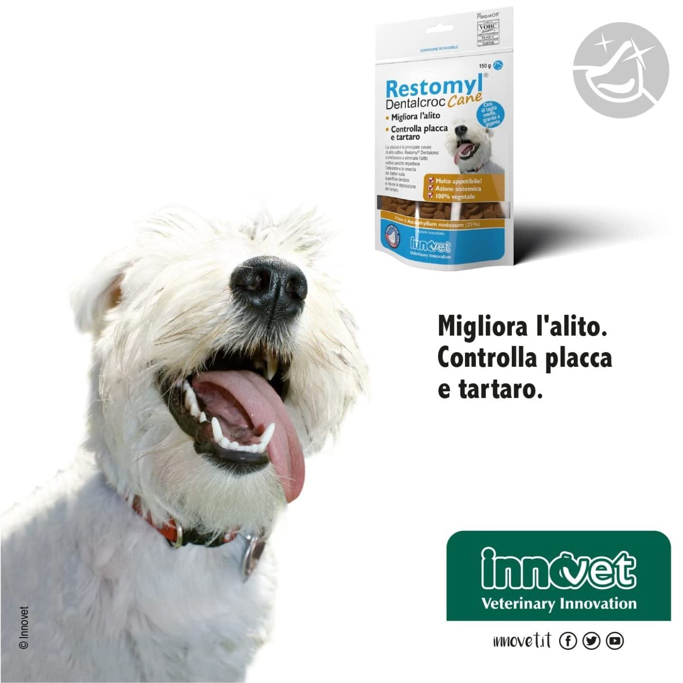 Innovet Restomyl® Dentalcroc per Cani di Taglia Media Grande e Gigante 150g