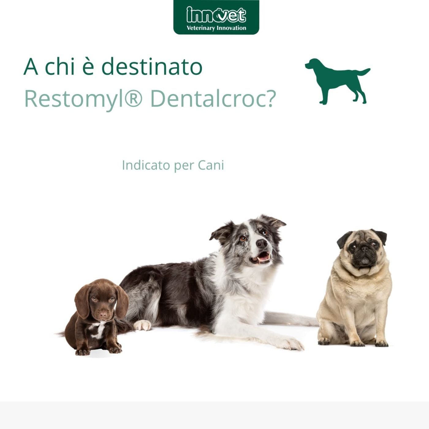 Innovet Restomyl® Dentalcroc per Cani di Taglia Media Grande e Gigante 150g