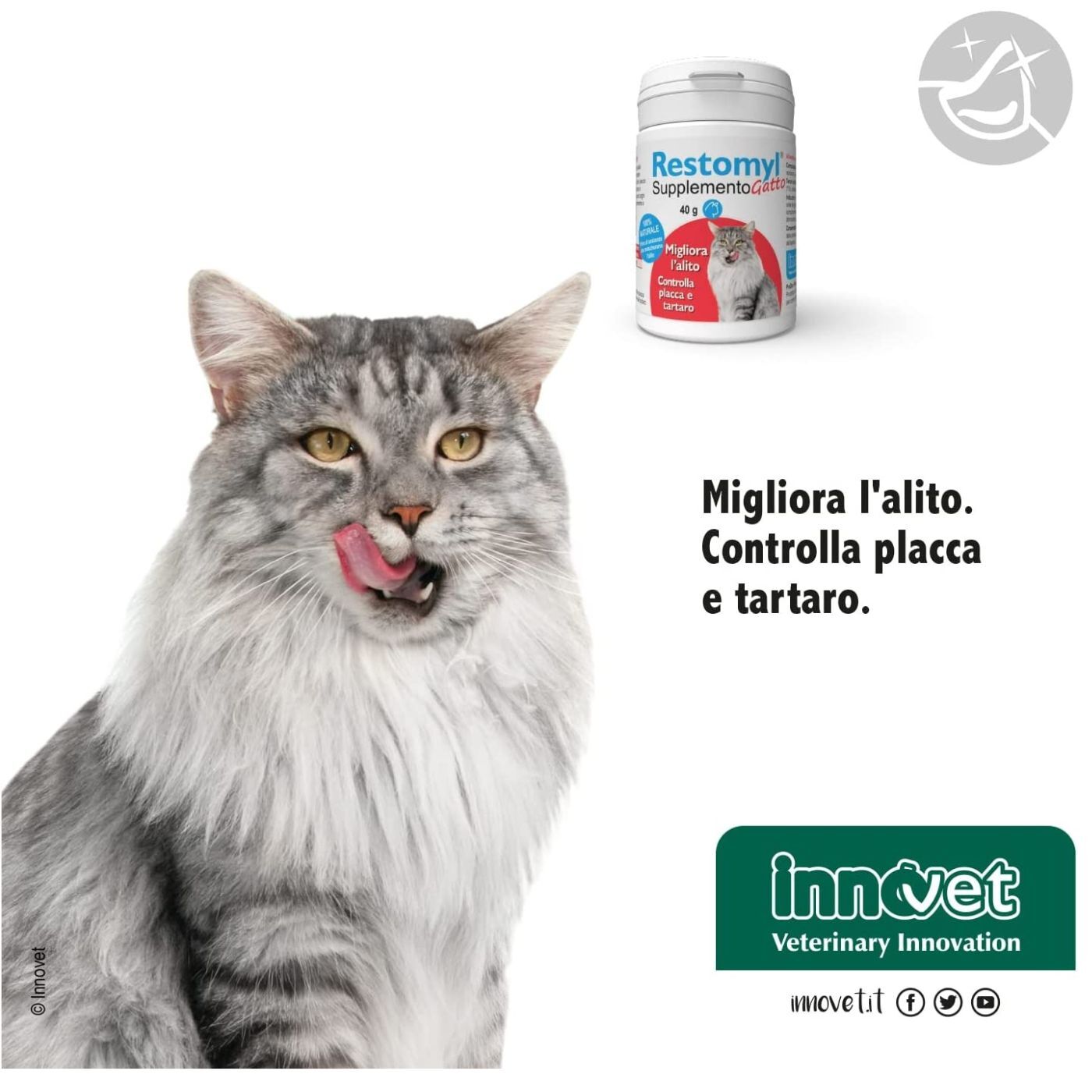 Innovet Restomil® Supplemento - Gatto 40g per Gatti