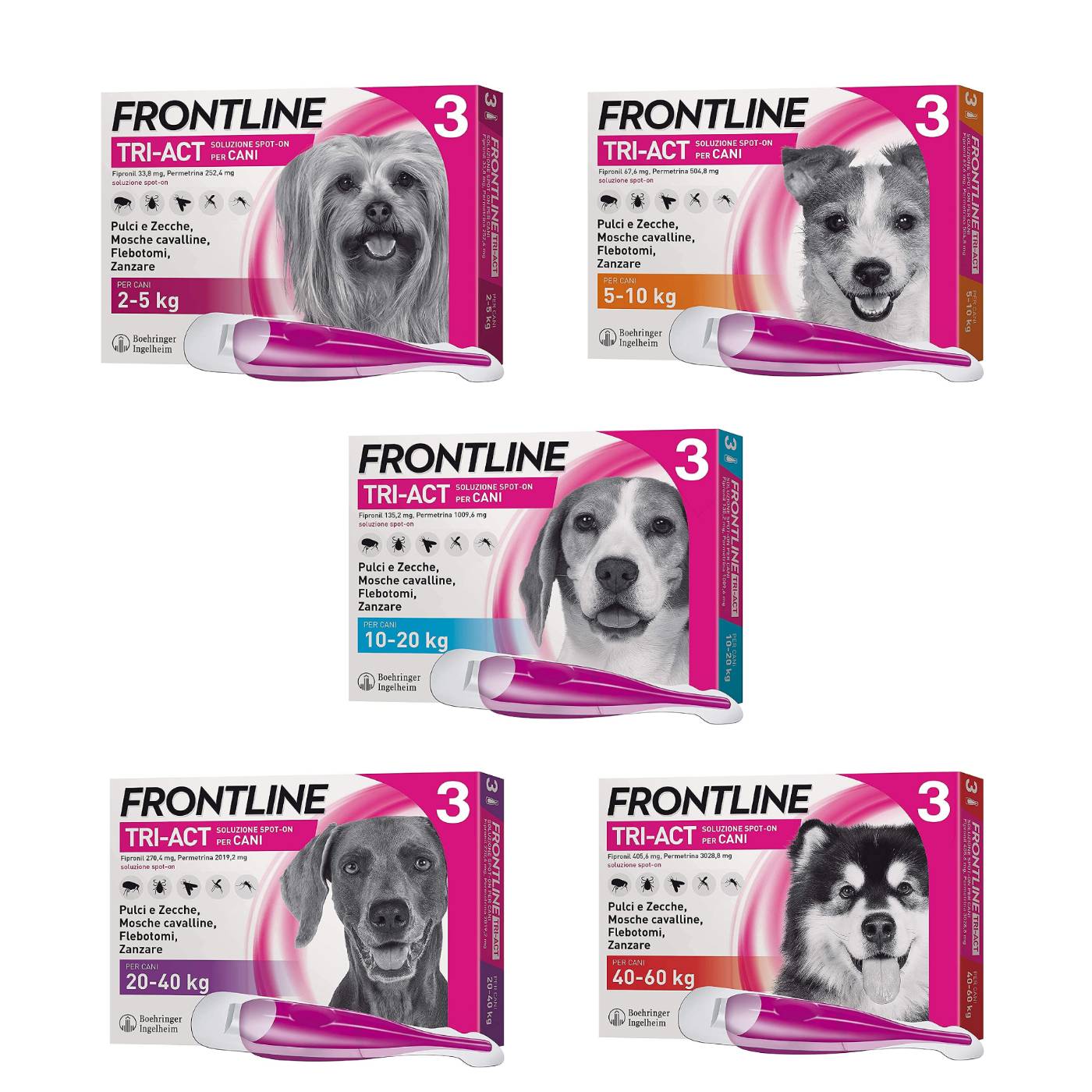 Frontline Tri-Act Spot-On Antiparassitario per Cani 3 Pipette
