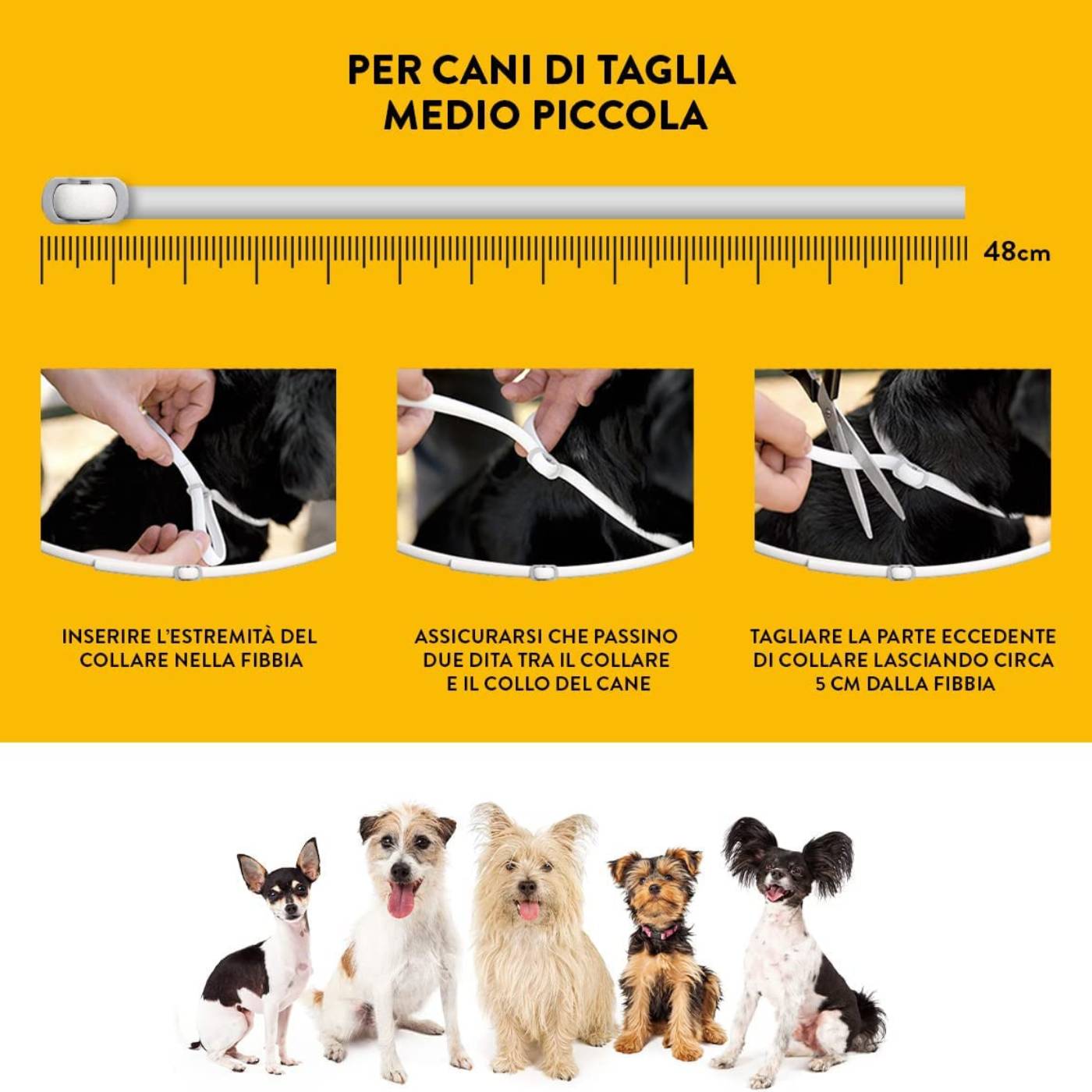 Scalibor Collare Antiparassitario per Cani - Istruzioni per cani taglia piccola-media