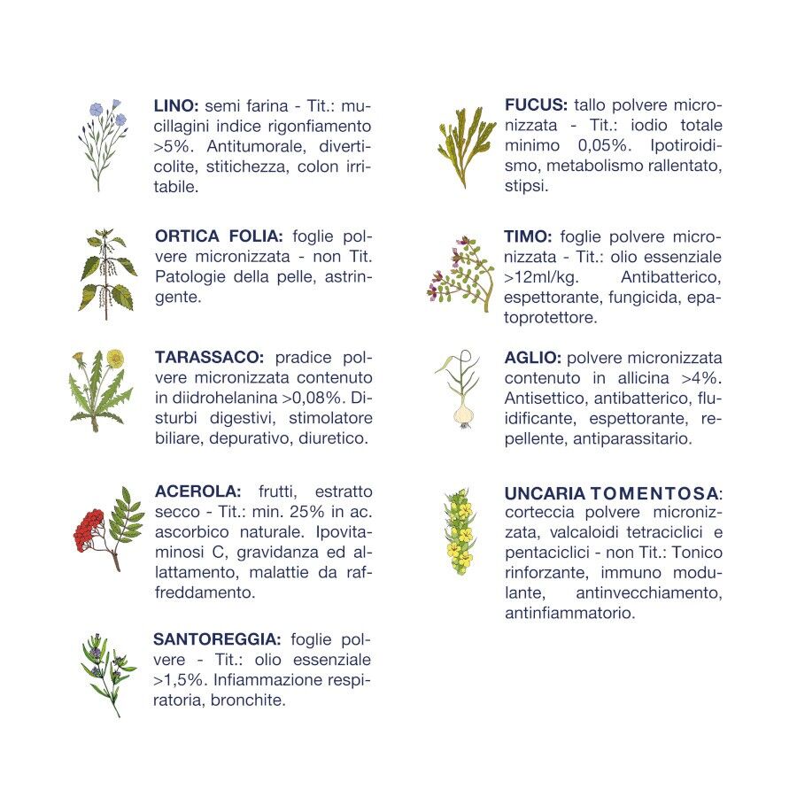 Vet Line Linea Salute Cervo per Cani Adulti VetLine - Erbe officinali