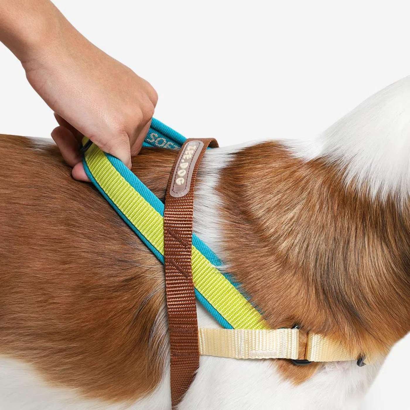 Zee.Dog Pettorina Norvegese Softer-Walk Avocado per Cani - Pratica maniglia rivestita in morbido neoprene