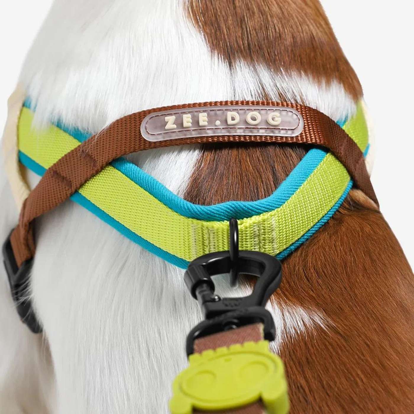 Zee.Dog Pettorina Norvegese Softer-Walk Avocado per Cani - Anello a D posizionato sul retro