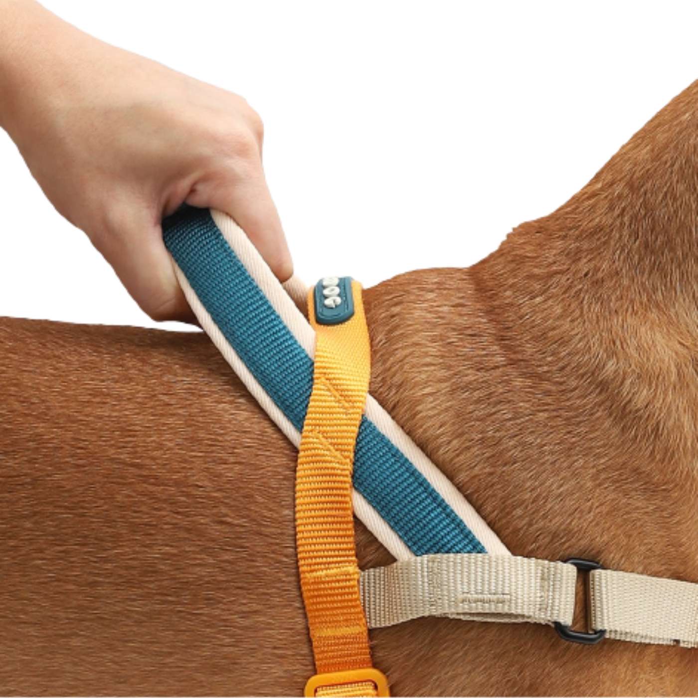 Zee.Dog Pettorina Norvegese Softer-Walk Voyage per Cani - Maniglia