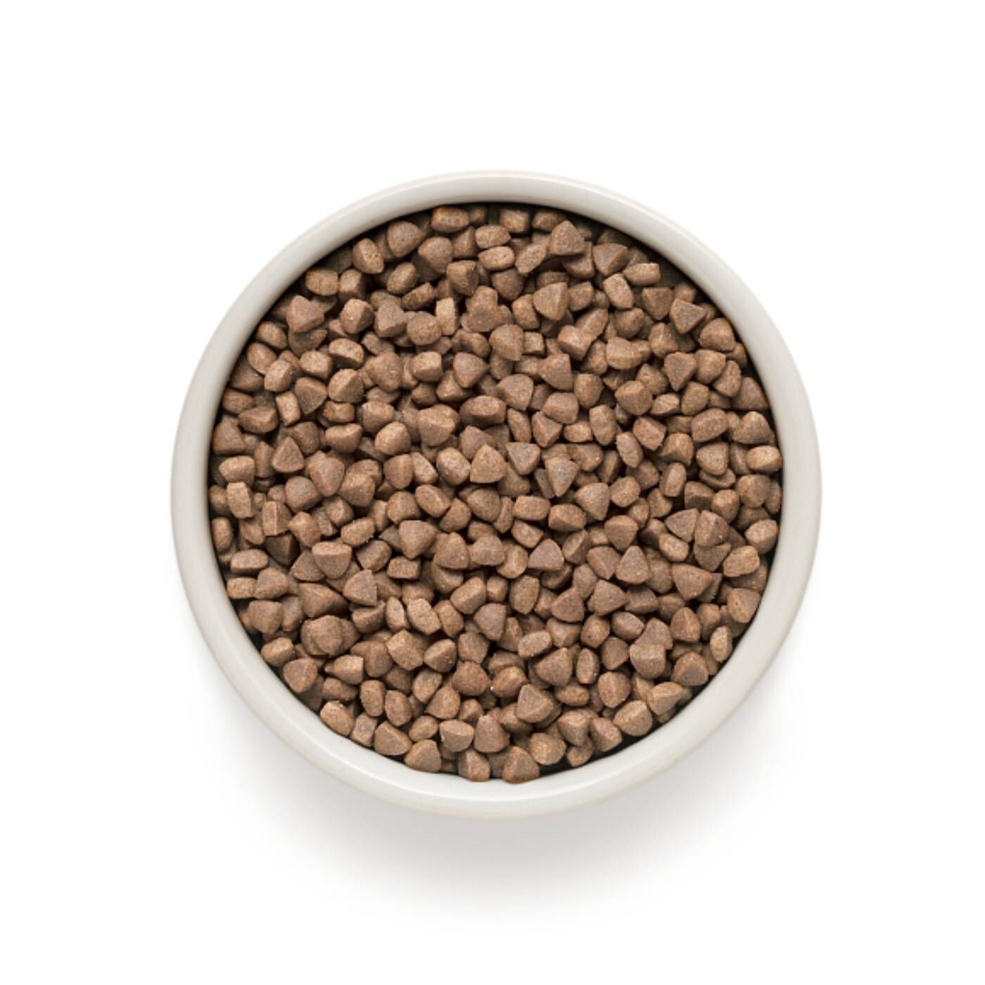 grandorf cat adult indoor pesce bianco e riso integrale per gatti