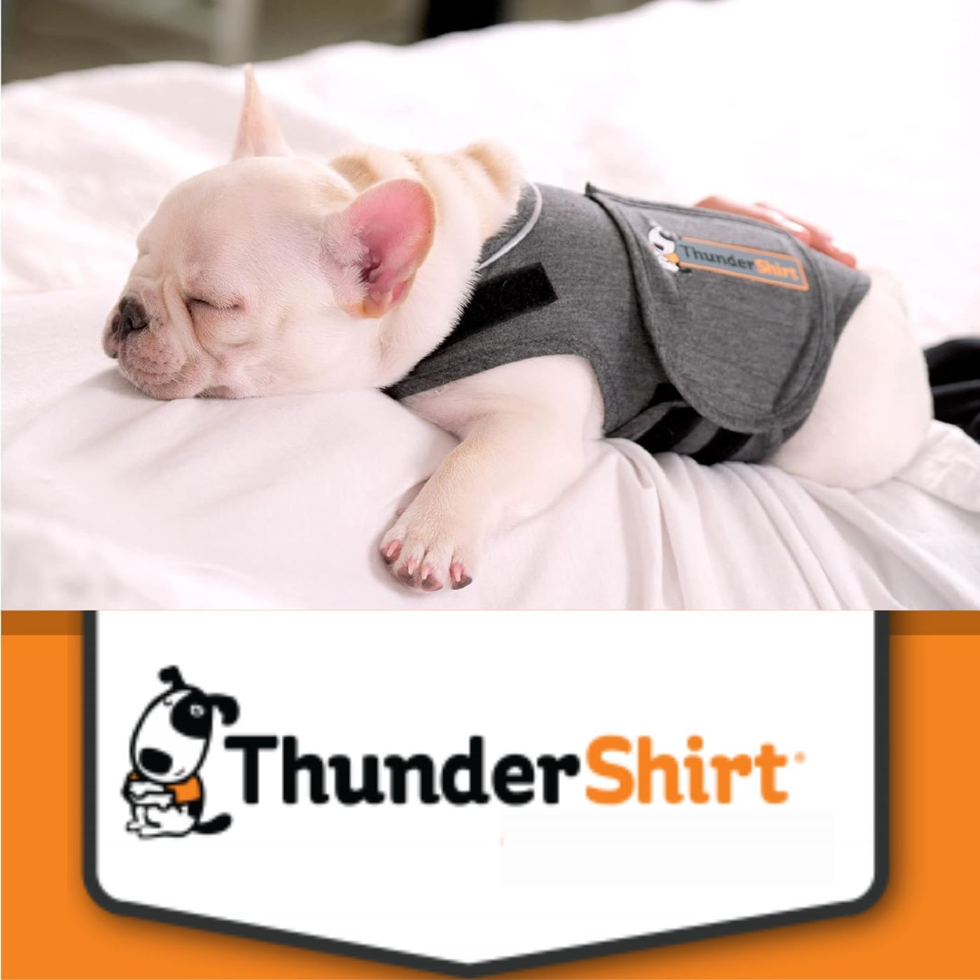 Thundershirt Dog Gilet Grigio per Cani - Adatto anche per i cuccioli