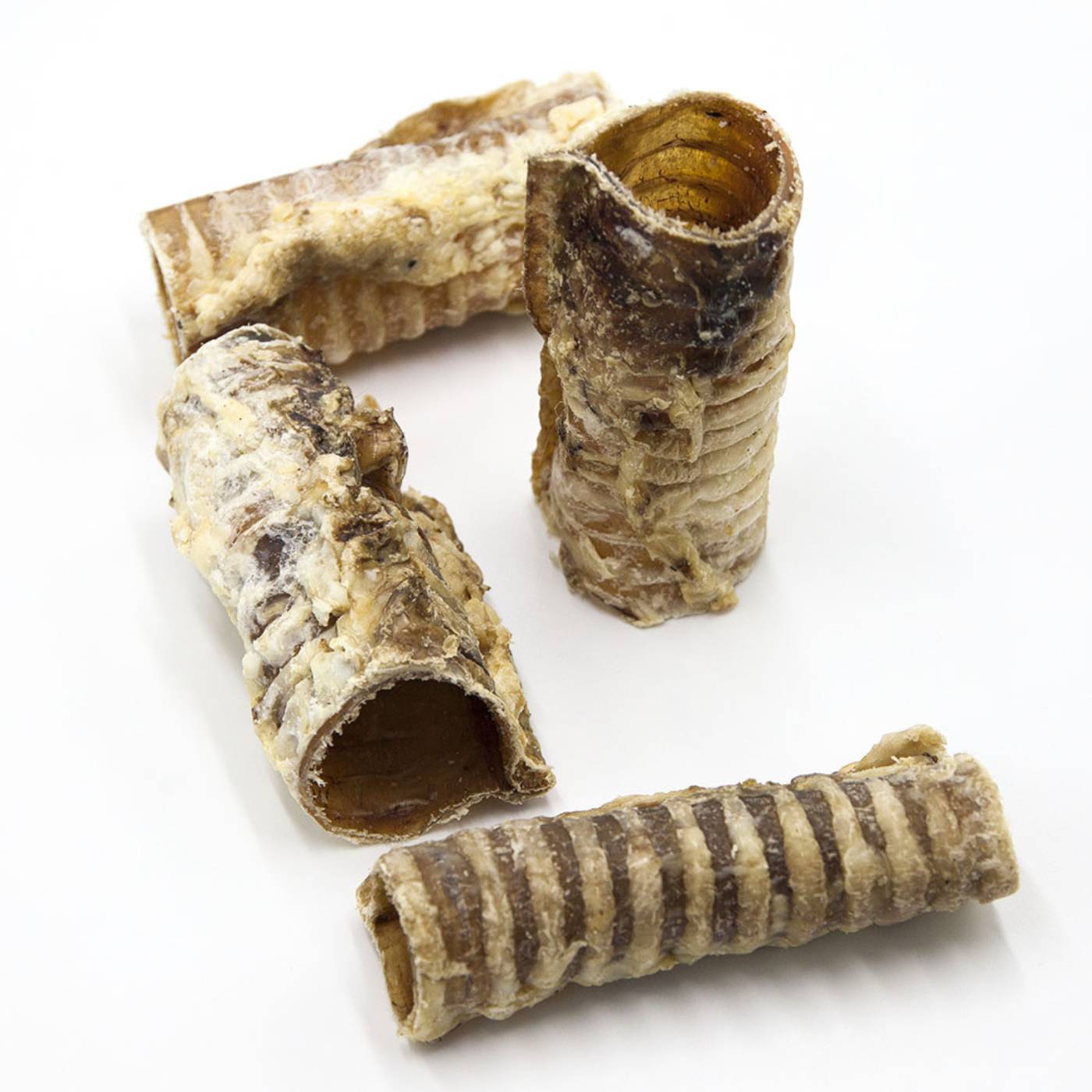 fasson food trachea bovina filiera piemontese
