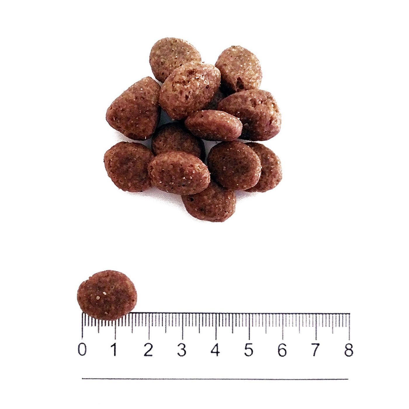 Prolife® Grain Free Sensitive Adult Medium/Large Maiale e Patate per Cani - Forma e Dimensione Crocchetta