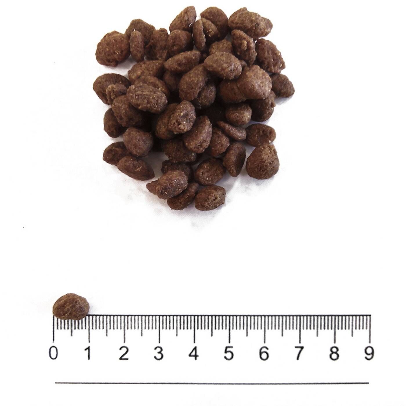 Prolife® Grain Free Sensitive Adult Mini Sole Pesce e Patate per Cani - Dimensione Crocchetta