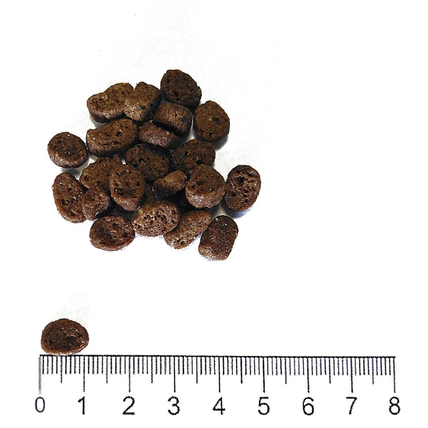 Prolife® Cat Sterilised Sensitive Adult Maiale e Riso per Gatti 7Kg - Forma e Dimensione Crocchetta