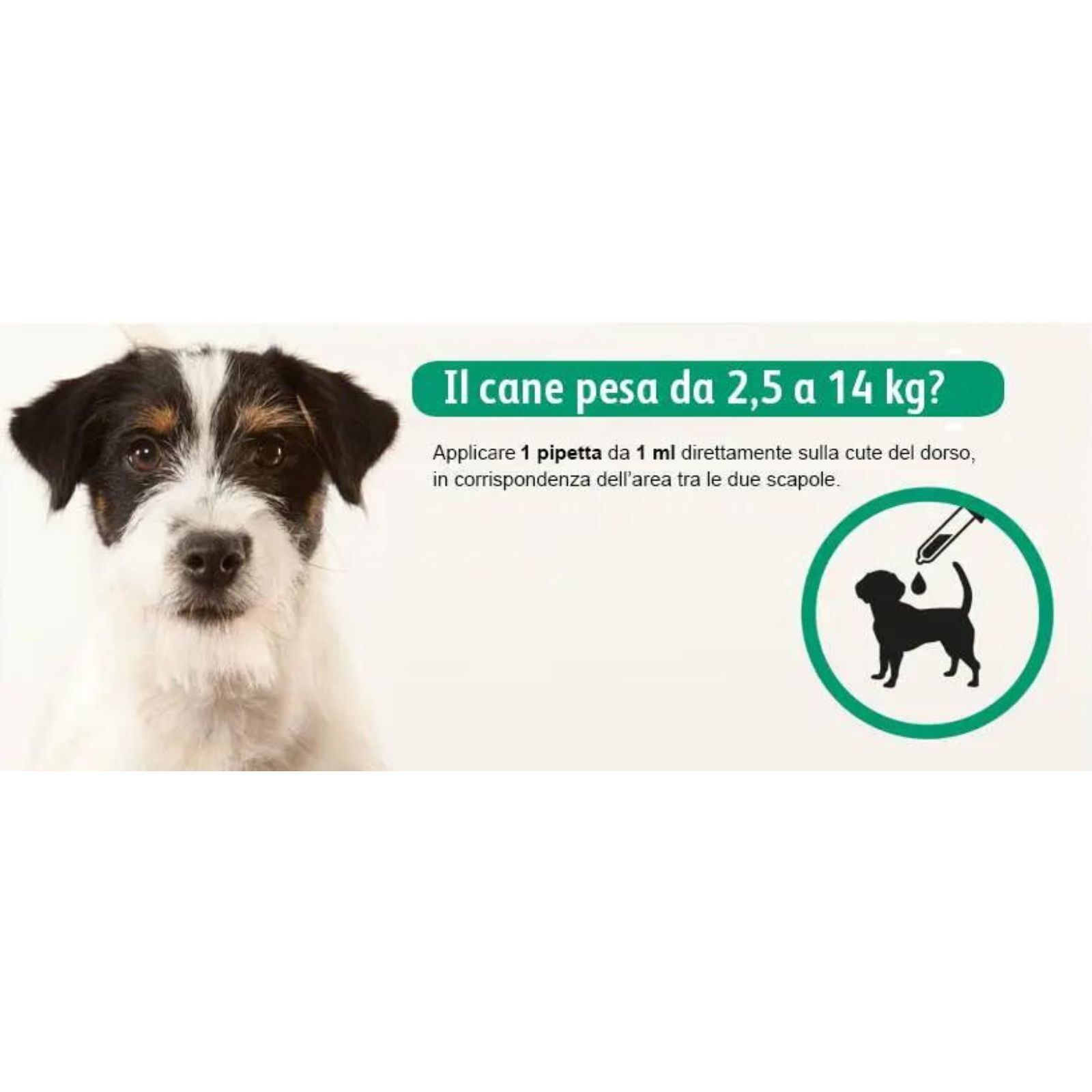exspot® spot on antiparassitario per cani
