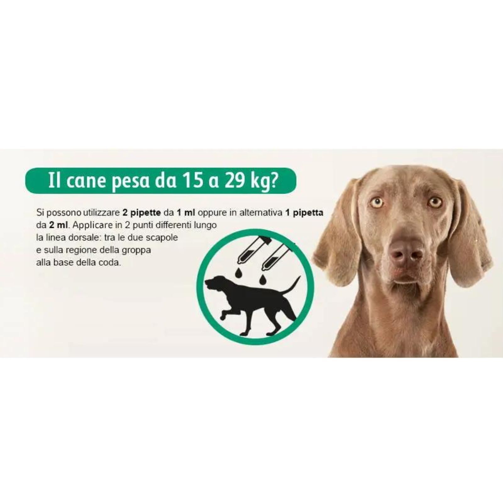 exspot® spot on antiparassitario per cani