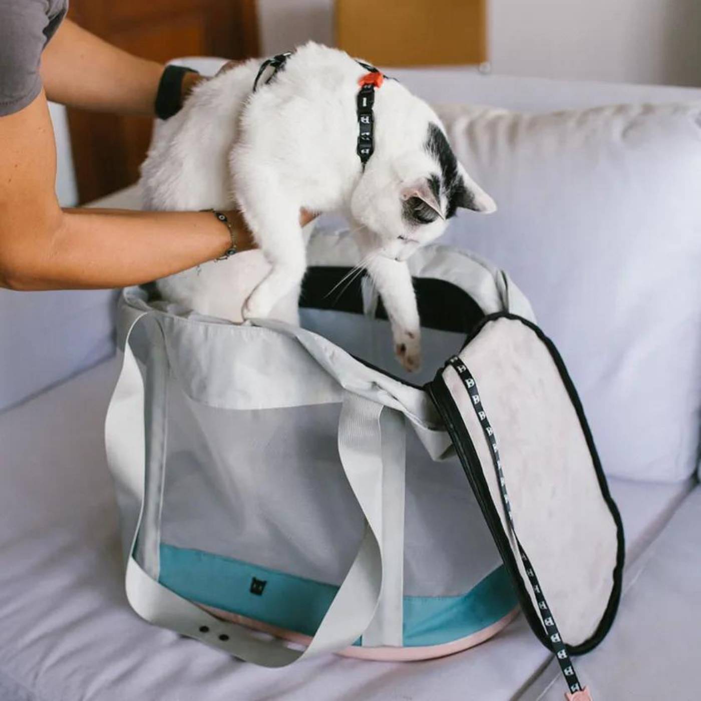 Zee.Cat Trasportino Kombucha per Gatti