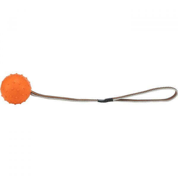 Trixie Gioco Palla in Gomma con Corda Antiscivolo ø6cm/35cm per Cani