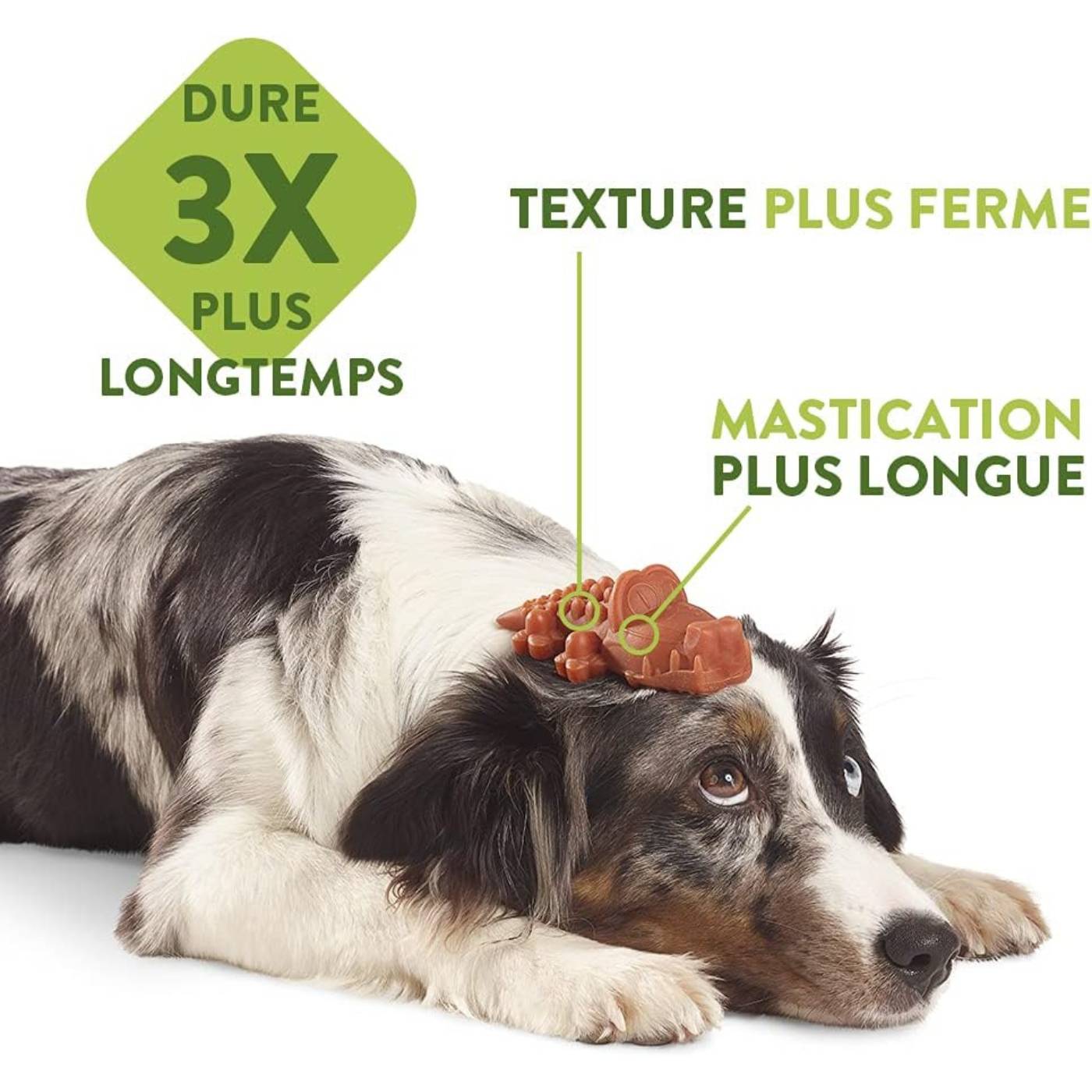 Whimzees Snack Dentale Naturale Osso di Riso per Cani Ricebone L 18-27 Kg 9 pezzi