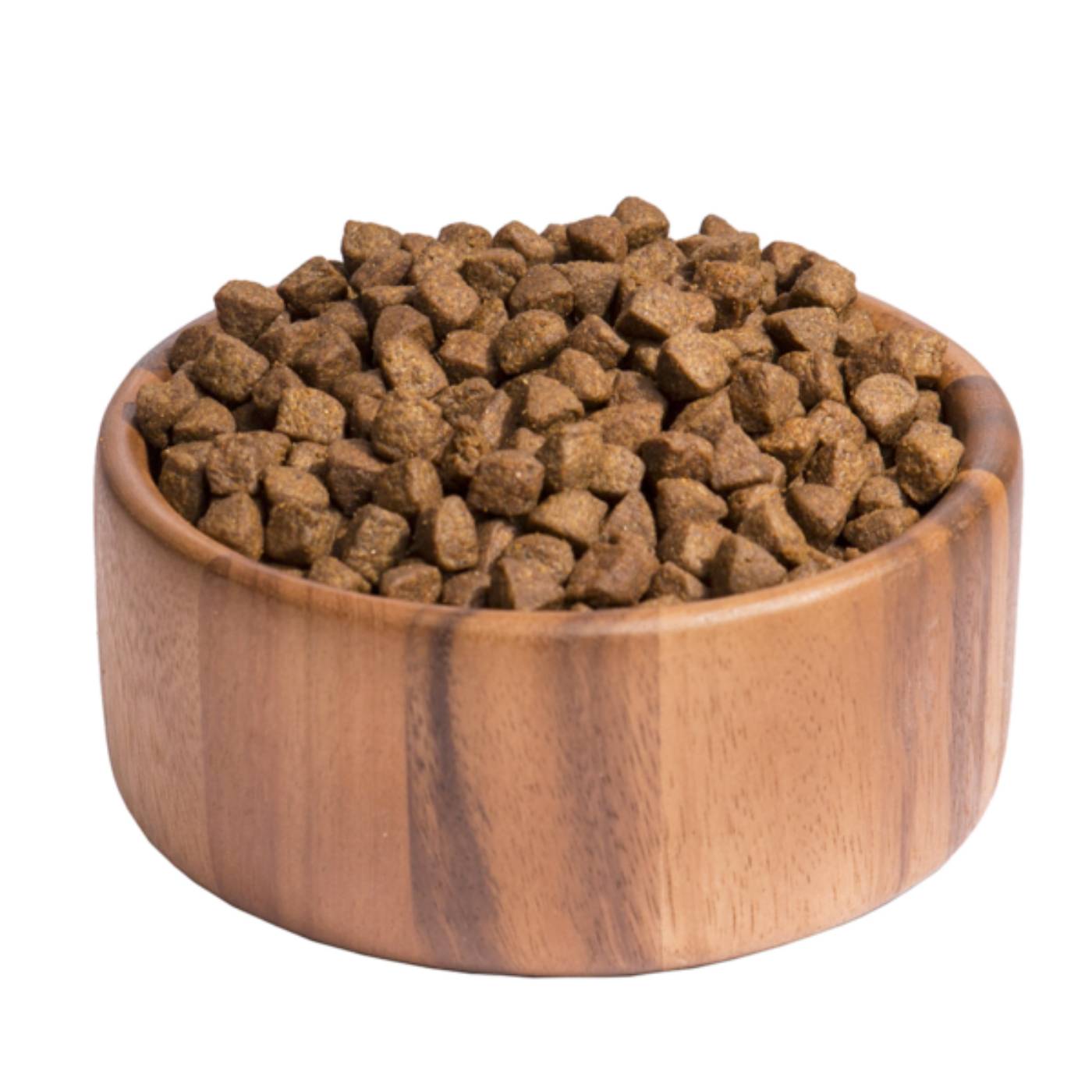 Wellness Core Medium/Large Breed Adult Ocean Salmone e Tonno per Cani Adulti