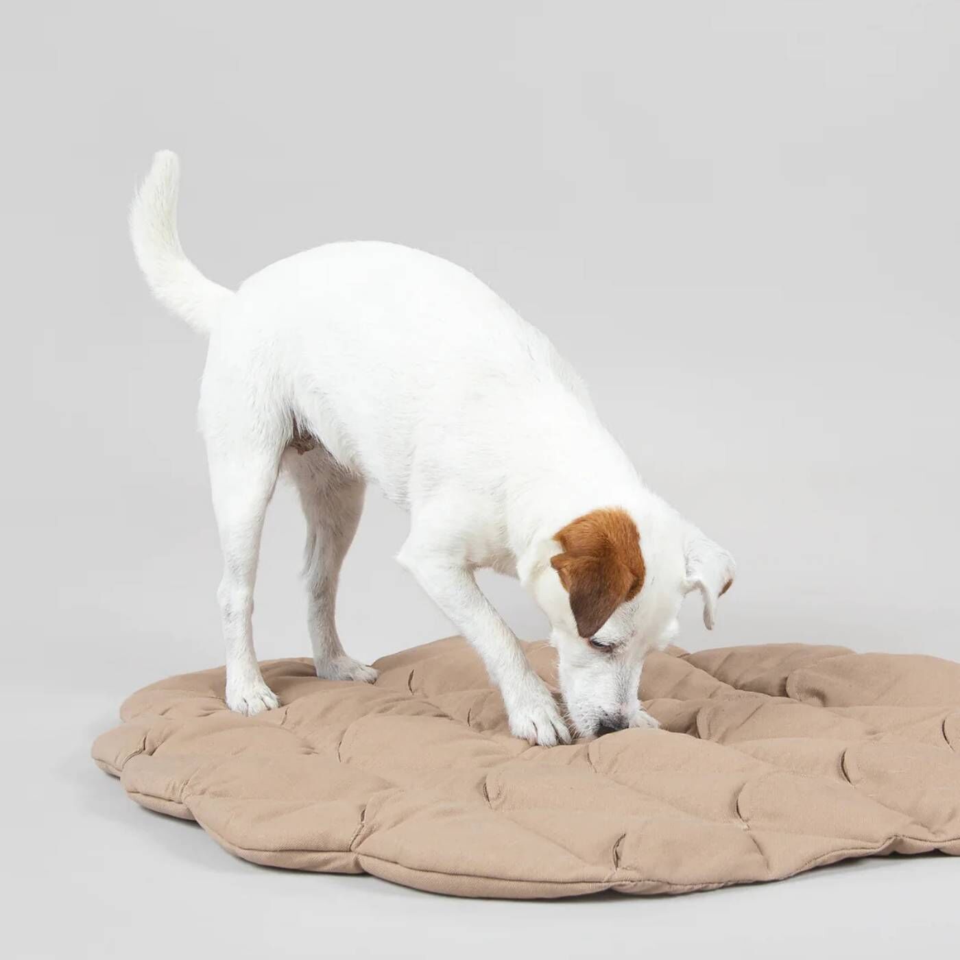 Paikka Tappeto Olfattivo per Animali Pinecone Playmat Beige 80 x 62 cm