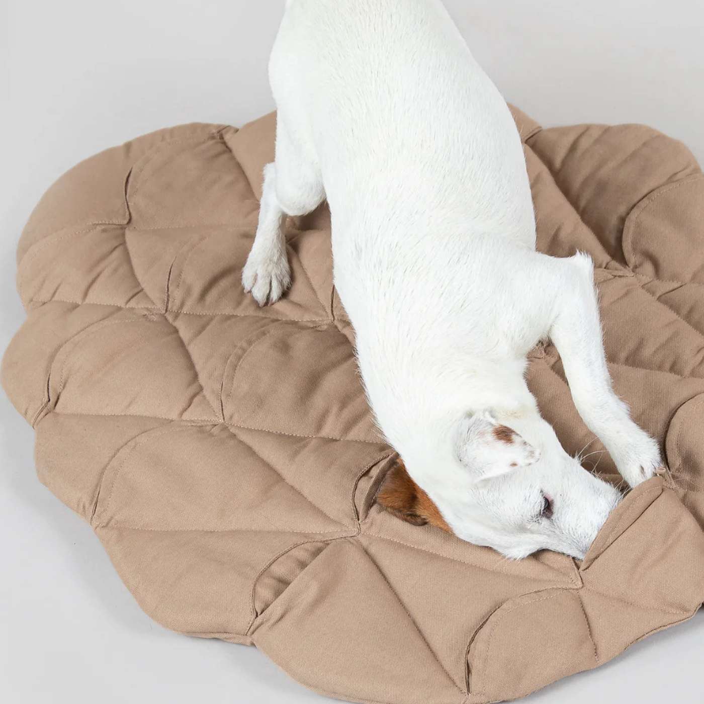 Paikka Tappeto Olfattivo per Animali Pinecone Playmat Beige 80 x 62 cm