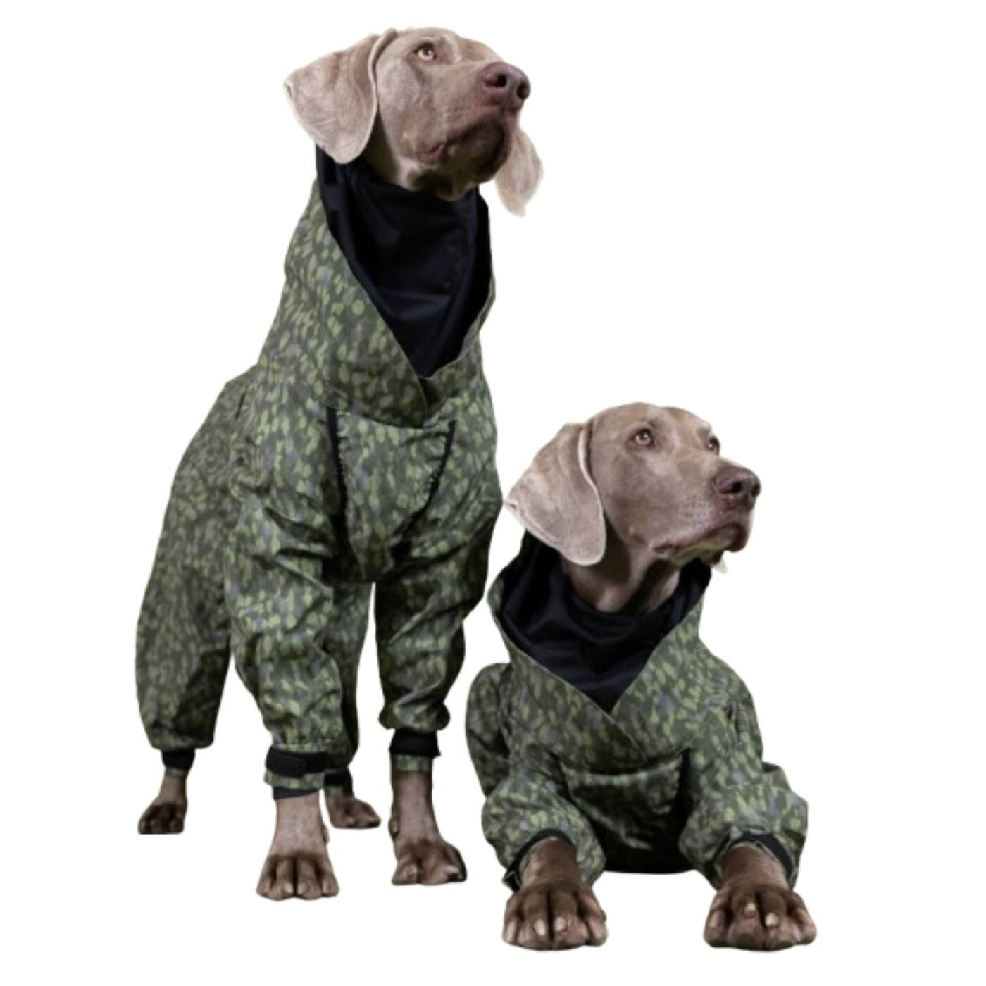 Paikka Tuta Impermeabile per Cani con Tessuto Riflettente Verde