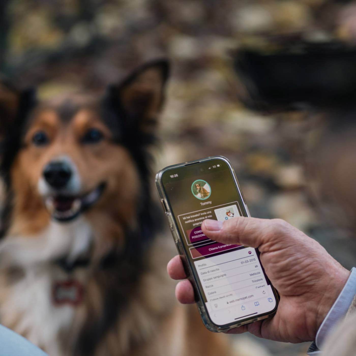 MyFamily Medaglietta per Cani QR Code Hushtag Osso Alluminio Nero