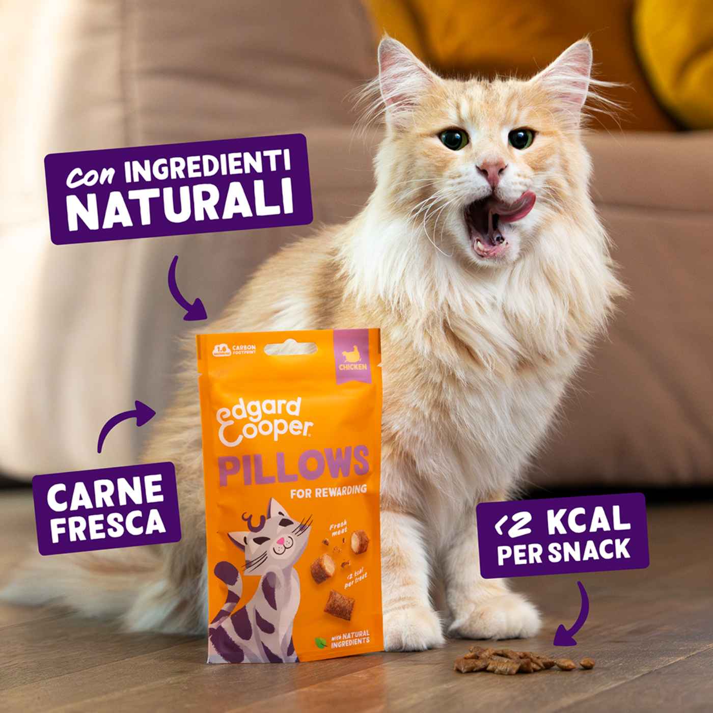 Edgard&Cooper Snack per Gatti Pillows Fagottini Ripieni al Pollo 60 g.