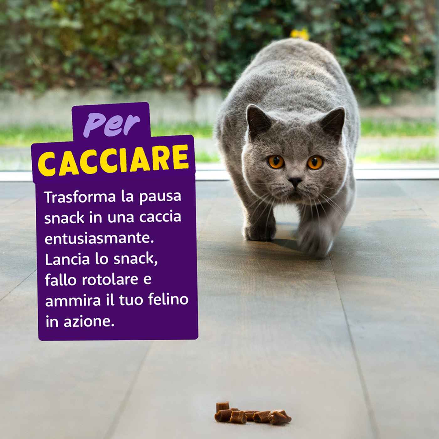 Edgard&Cooper Snack Morbidi per Gatti Rolls al Salmone 45 g.
