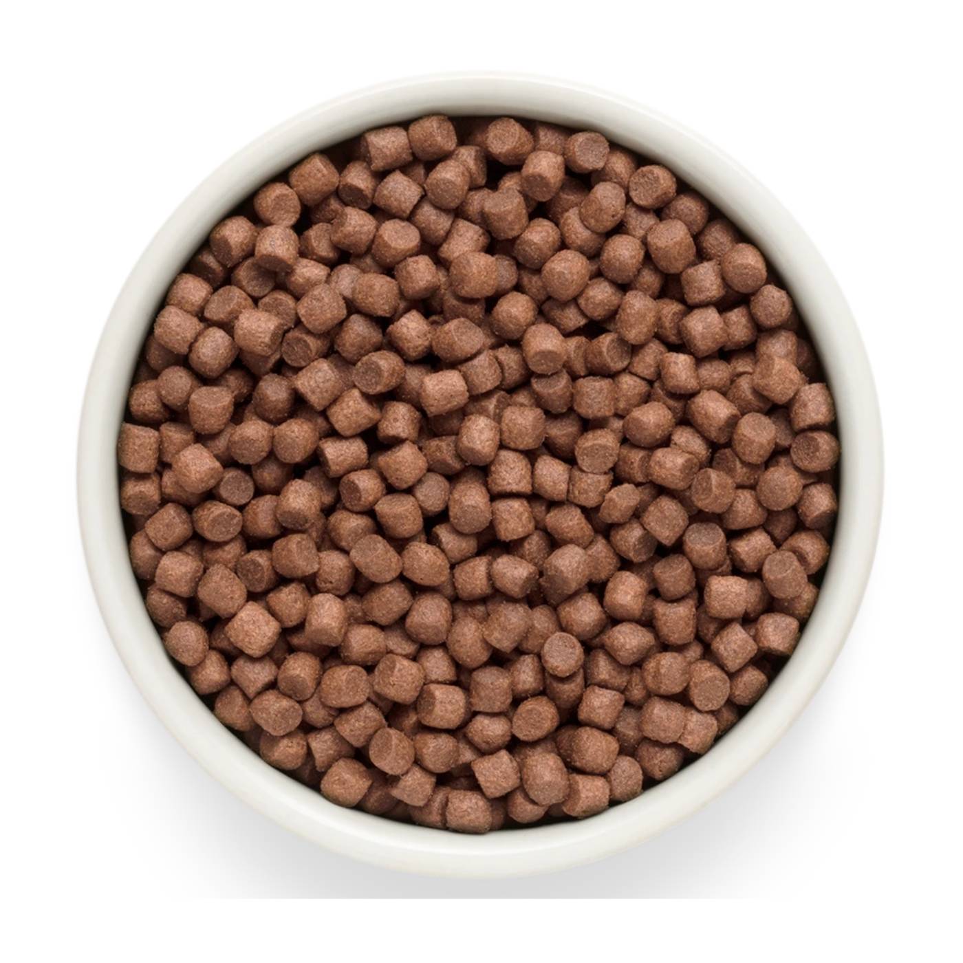 Grandorf Fresh Lamb Adult Mini Breeds con Carne Fresca di Agnello e Patate Dolci per Cani Adulti di Piccola Taglia