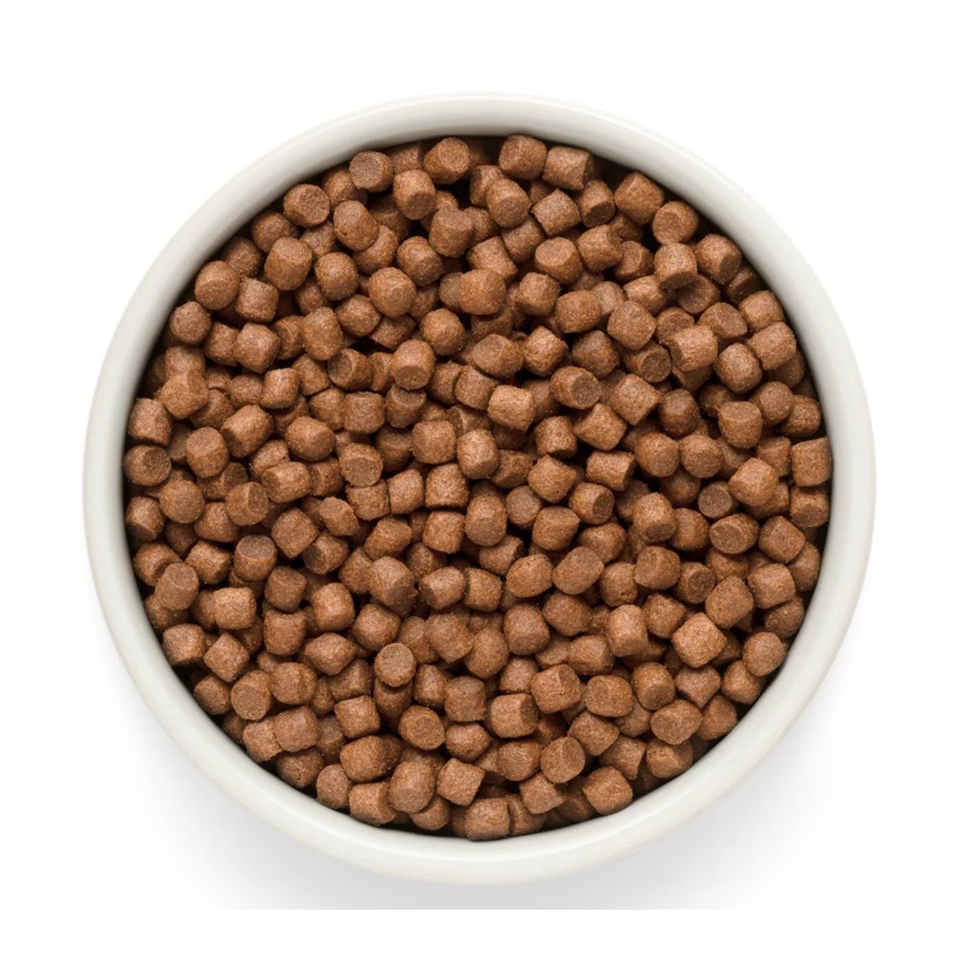 Grandorf Fresh Salmon Adult Mini Breeds con Filetti di Salmone Fresco e Patate Dolci per Cani Adulti di Piccola Taglia