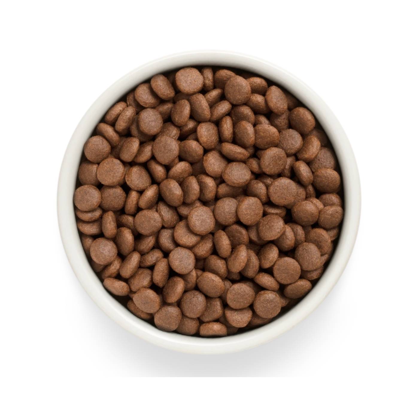 Grandorf Fresh Adult Medium & Maxi Breeds con Filetti di Salmone Fresco e Patata Dolce per Cani Adulti