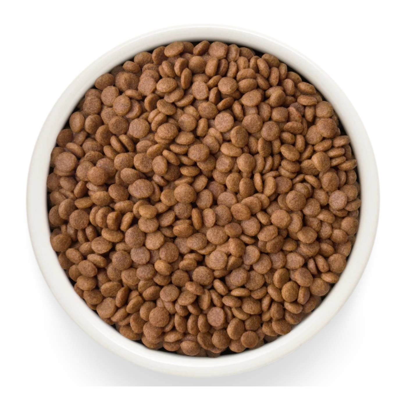 Grandorf Fresh Cat con Carne Fresca di Anatra e Patate Dolci per Gatti Adulti