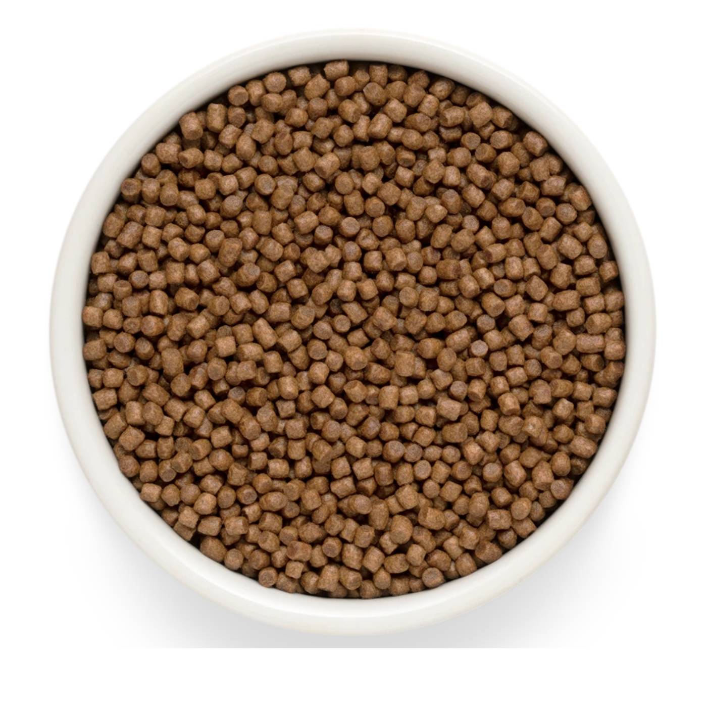 Grandorf Fresh Kitten con Carne Fresca di Agnello e Patate Dolci per Gattini