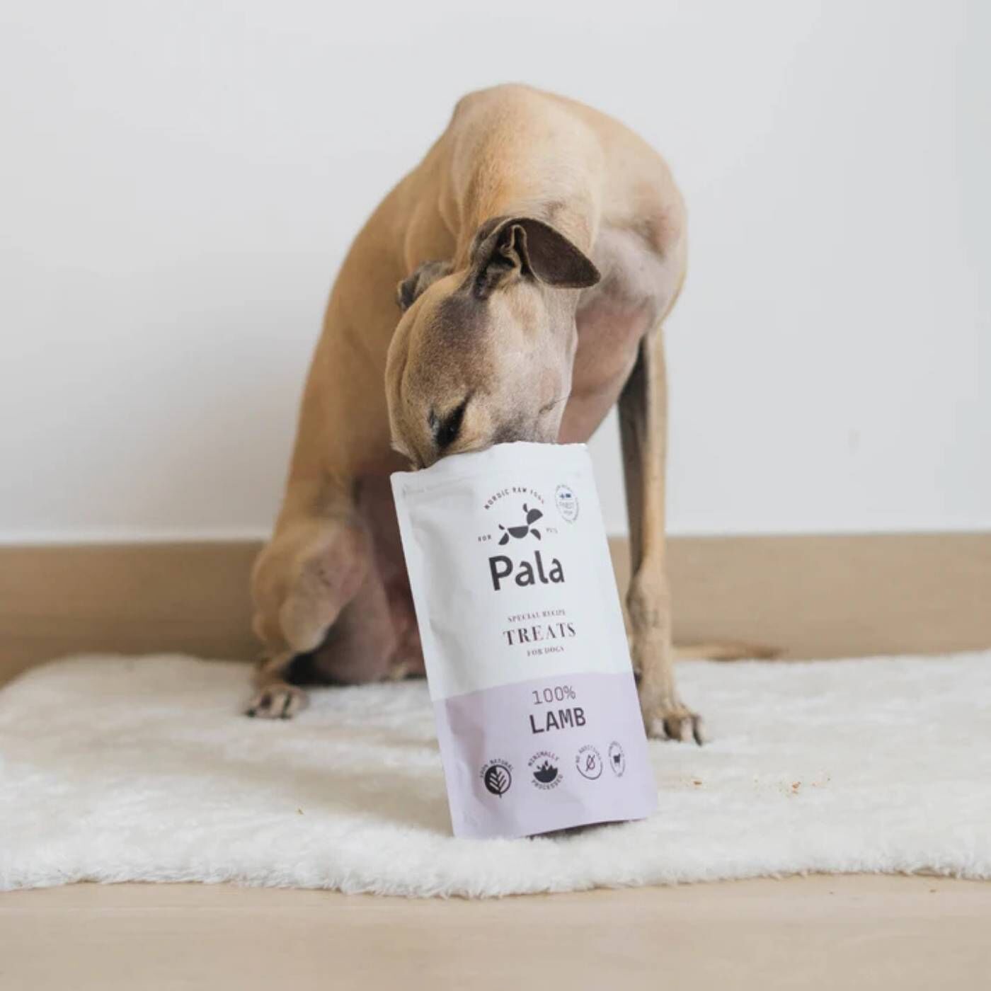 Pala Snack per Cani 100% Agnello Monoproteici 100 g